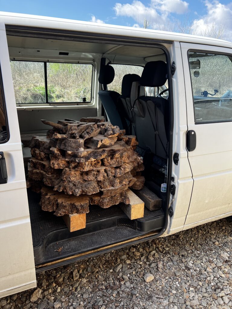 Koren-masline-posle-susenja-pre-peskarenja